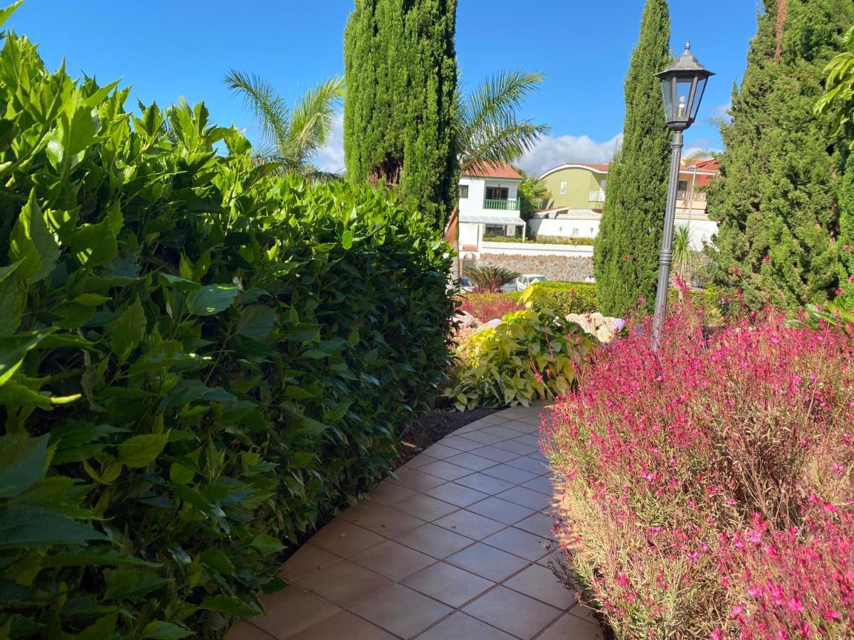 La Quinta Suite Home Share Santa Úrsula Exteriör bild